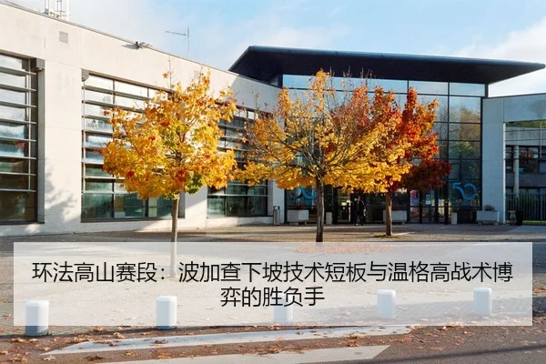 环法高山赛段：波加查下坡技术短板与温格高战术博弈的胜负手