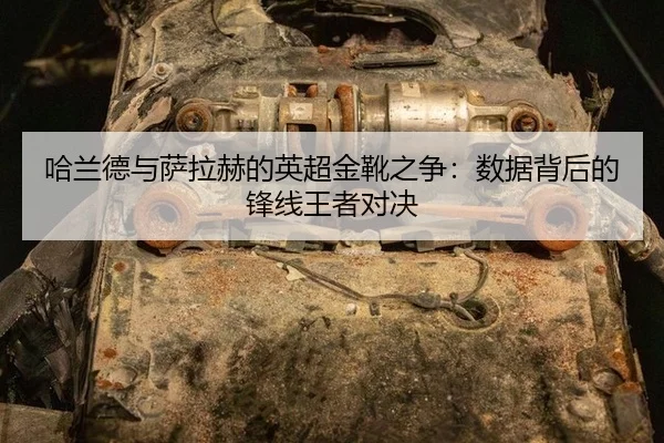 ha-lan-de-yu-sa-la-he-de-ying-chao-jin-xue-zhi-zheng-shu-ju-bei-hou-de-feng-xian-wang-zhe-dui-jue-3-707.jpg
