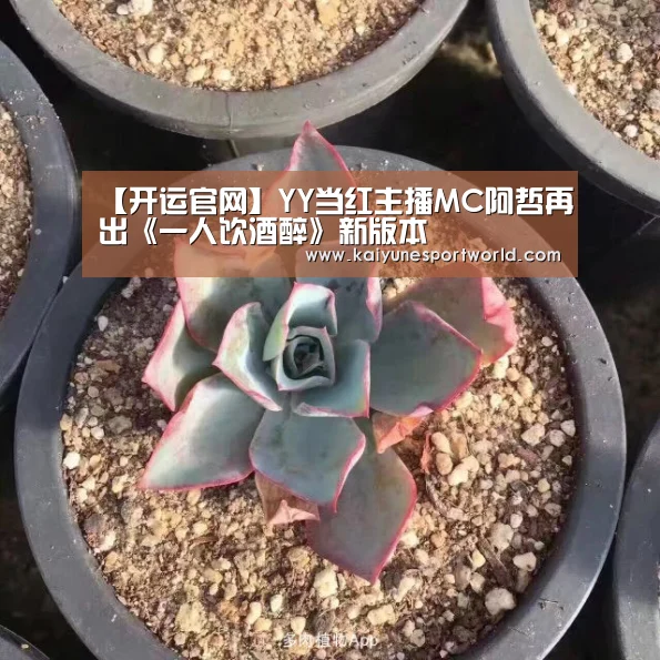 开运下载